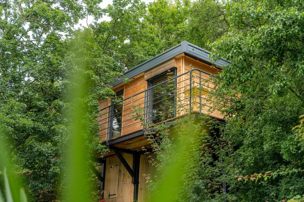 Le Moonloft Insolite Tiny-House Dans Les Arbres & 1 Seance De Sauna Pour 2 Avec Vue Panoramique Osenbach Экстерьер фото
