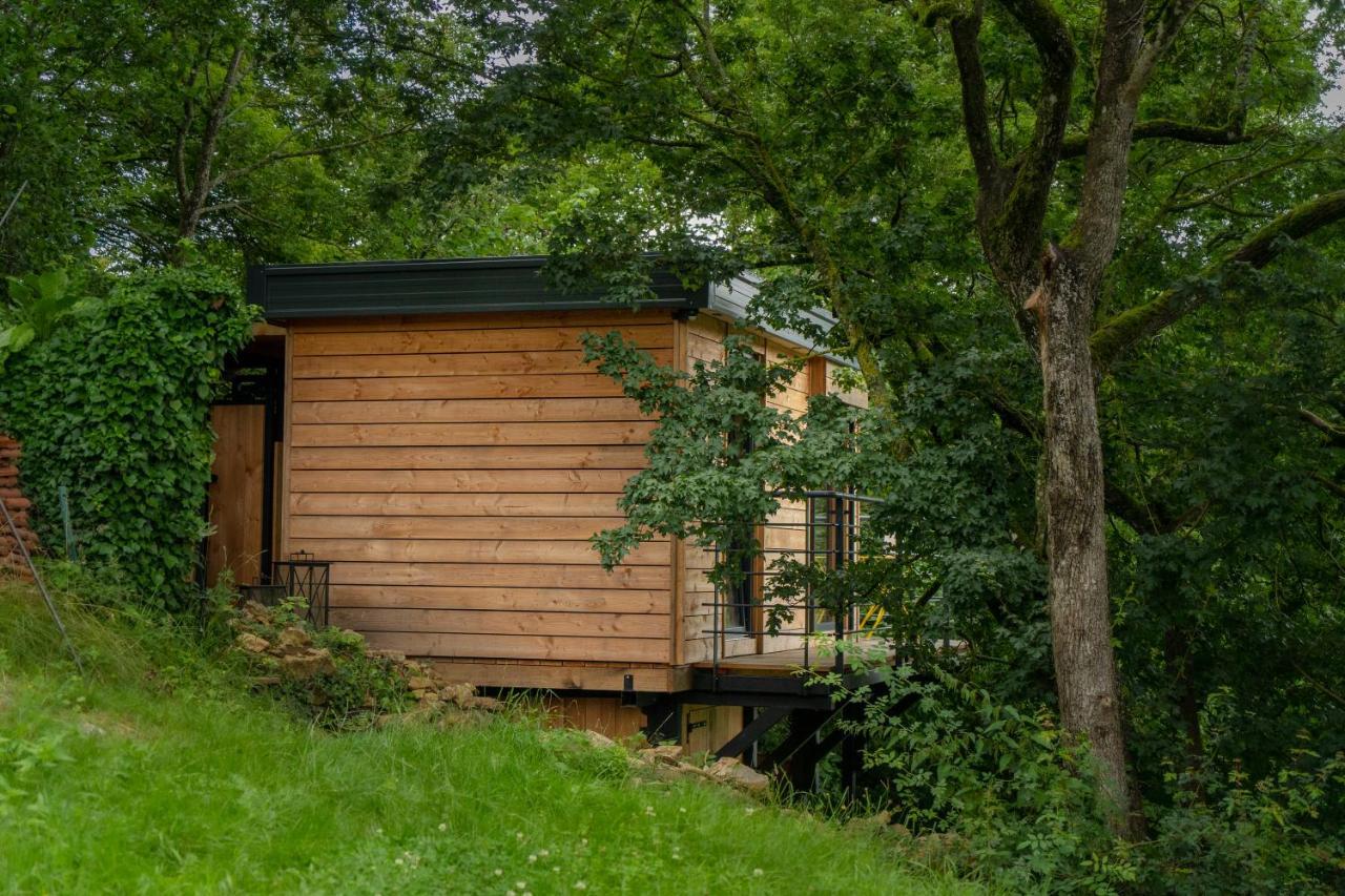 Le Moonloft Insolite Tiny-House Dans Les Arbres & 1 Seance De Sauna Pour 2 Avec Vue Panoramique Osenbach Экстерьер фото