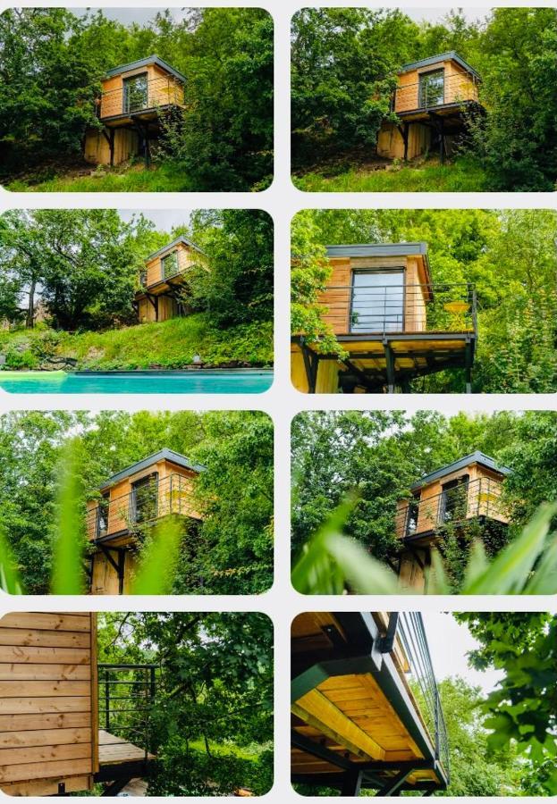 Le Moonloft Insolite Tiny-House Dans Les Arbres & 1 Seance De Sauna Pour 2 Avec Vue Panoramique Osenbach Экстерьер фото